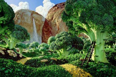 ​英语作文中常用到的名人名言103句