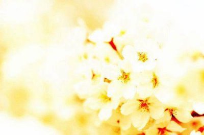 ​廉政名言警句摘抄大全84句