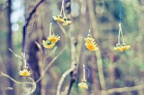 经典的青春励志名言