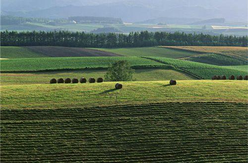 最能传播励志正能量句子