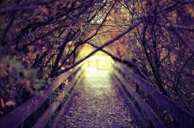 ​鼓励表白的句子