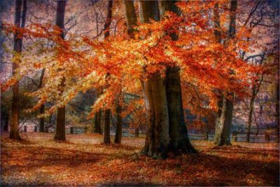 ​鼓励追求爱情的句子 追求爱情的唯美句子(精选77句)