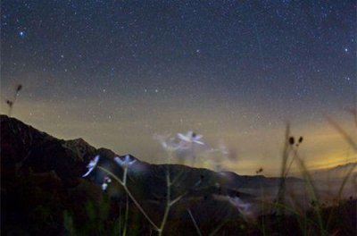 ​精选鲁迅先生的名言，鲁迅先生的名言名句汇编71句