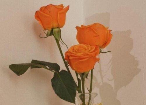 经典励志名人名言50句