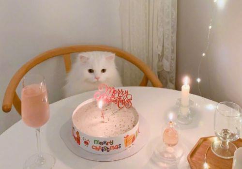 精选人生哲理名言