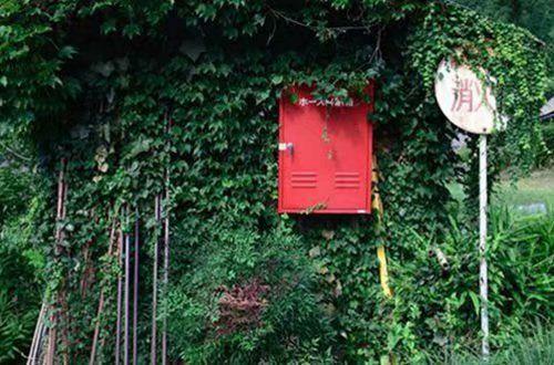 健康养生的经典句子 古人养生经典名言