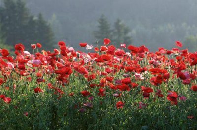 ​相互鼓励一起努力进步名言(45句)