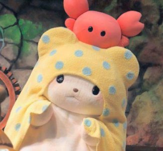 ​班固的名言名句集锦