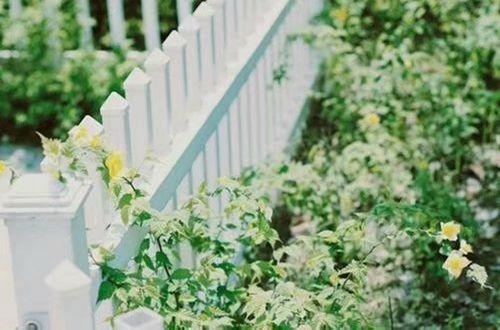 成熟男人名言名句