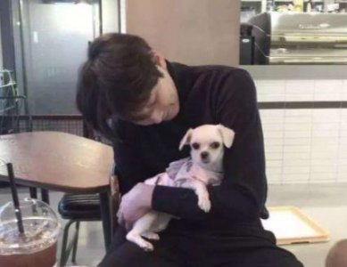 ​常用幸福优美句子49条