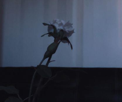 心灵的人生感悟句子