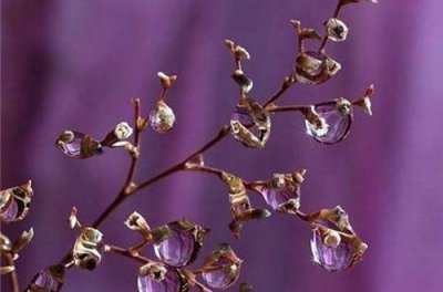 ​珍惜时间的名言警句120句