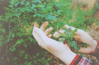 ​悲伤的诗句越伤感越好84句