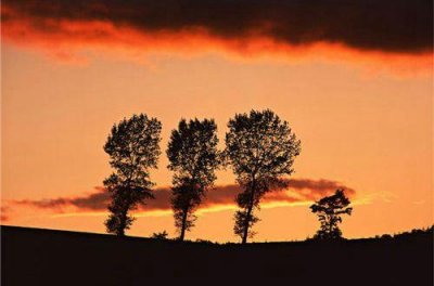 ​道教名言格言名句大全100句