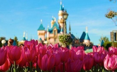 ​人生感悟的15个句子