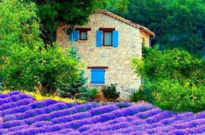 ​列宁励志名言83句