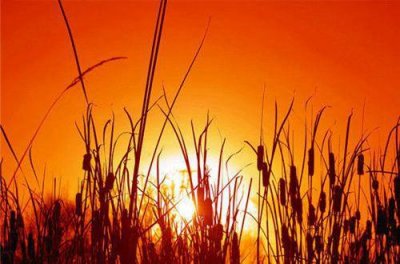 ​简短励志的名言(91句)