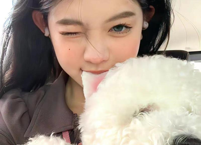 描述人与狗的感情的句子精选88句 描述人与狗的感情的句子精选88句