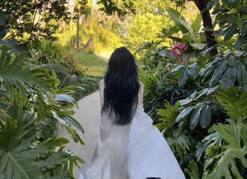 描写摘茶的句子精选90句 描写摘茶的句子精选90句