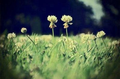 ​林语堂名言名句 林语堂语录大全(62句)