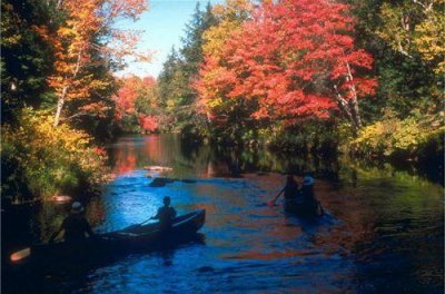 ​海子名言名句 海子语录大全(68句)