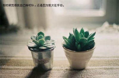 ​教师清正廉洁名言警句 有关清正廉洁的名言名句(精选77句)