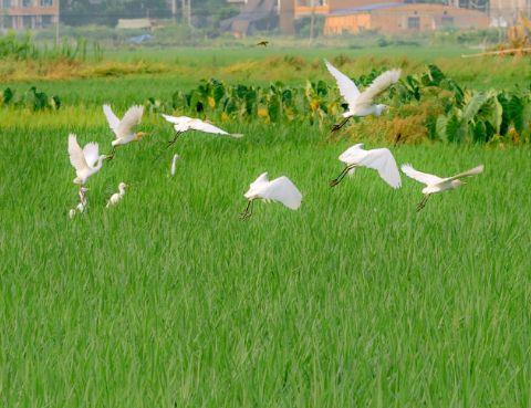 2017人生感悟至理名言