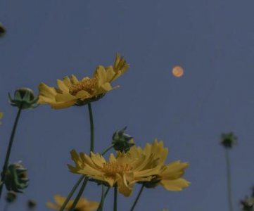 ​吃饱了的歇后语29句