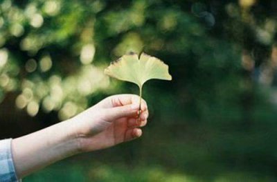 ​冒险歇后语24句