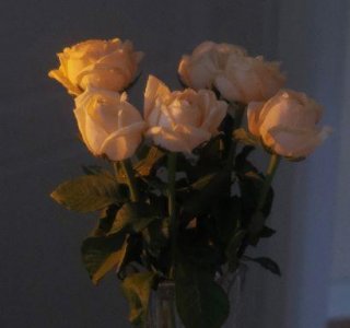 ​河滩上的沙子歇后语32句