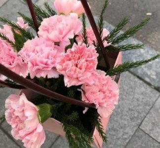 ​一条咸菜配三顿歇后语30句