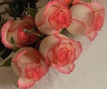 ​半夜敲钟歇后语32句