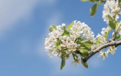 ​信口雌黄的歇后语30句