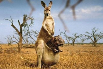 ​量体裁衣歇后语32句