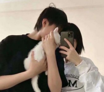 ​马背上歇后语33句