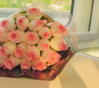 ​大雁东南飞歇后语32句