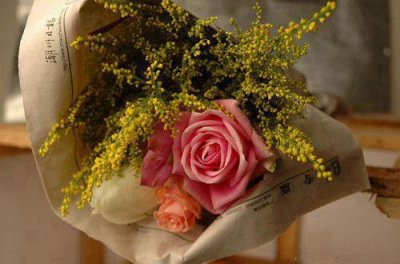 ​河里长菜的歇后语32句