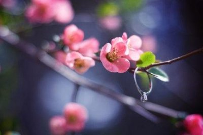 ​封神演义歇后语38句