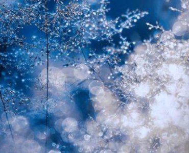 ​十一月办年货歇后语34句