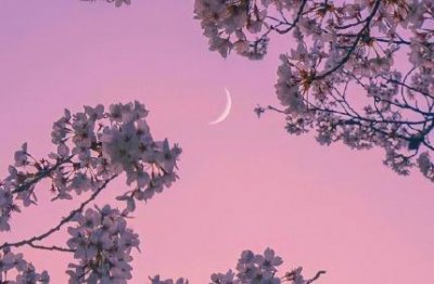 ​花生歇后语大全40句