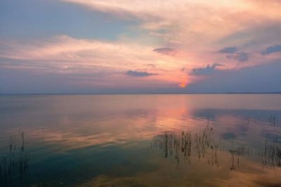 ​老牛歇后语44句