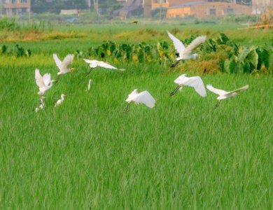 ​小学趣味歇后语56句