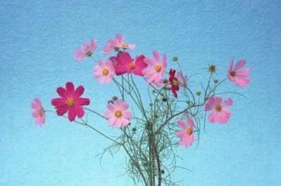 ​曹操的歇后语60句