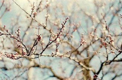 ​关于歇后语的填空题及答案66句