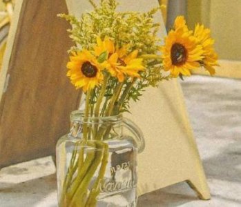 ​关于生活的歇后语67句