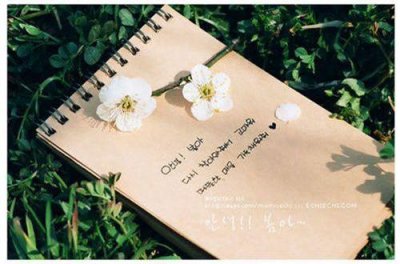 ​作用造句16句