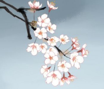 ​救死扶伤的意思 救死扶伤的近义词和反义词 救死扶伤造句