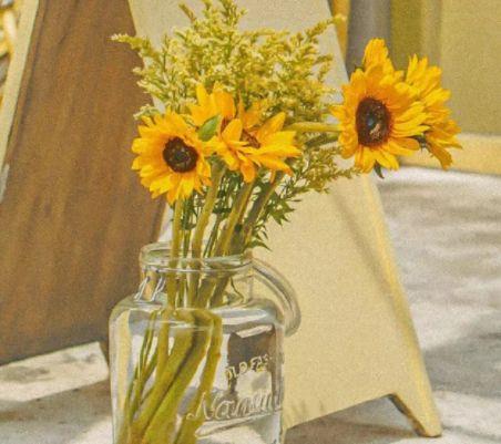 老马识途造句和意思