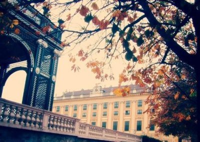 ​瓜田李下造句 瓜田李下怎么造句 瓜田李下的近义词 瓜田李下的