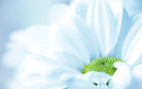 2025年用又什么又什么造句子